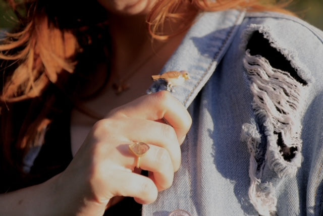 Bird Brooch on model